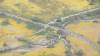 414 - 20230417 PRB IZA Carrizo Plain Wildflowers