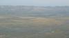 429 - 20230417 PRB IZA Carrizo Plain Wildflowers