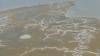 441 - 20230417 PRB IZA Carrizo Plain Wildflowers