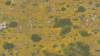 443 - 20230417 PRB IZA Carrizo Plain Wildflowers