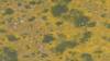 444 - 20230417 PRB IZA Carrizo Plain Wildflowers