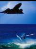 SR71-Windsurfer