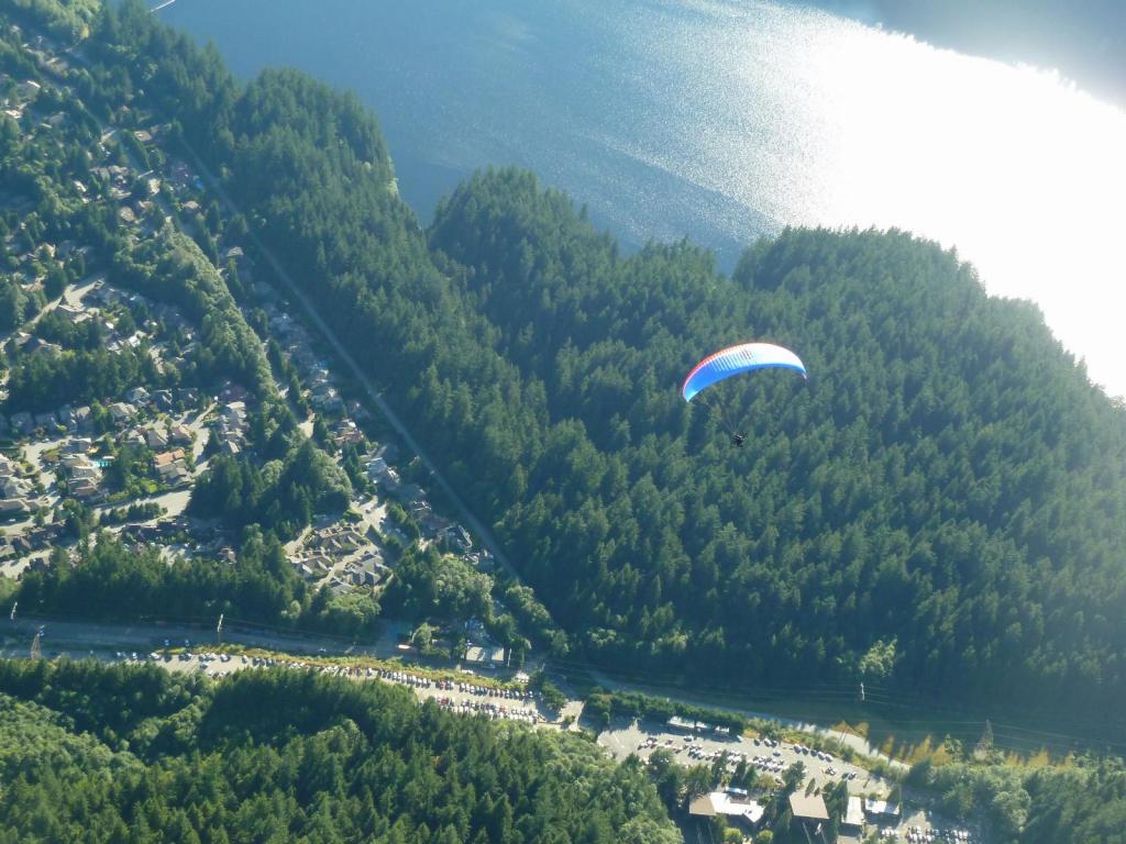 547 - Glide Down Grouse