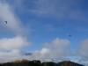 328 - 20150211 Coronet Peak Paragliding