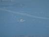 100 - 20161009 FRA SFO Fleet Week