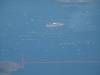 102 - 20161009 FRA SFO Fleet Week