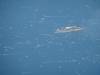 105 - 20161009 FRA SFO Fleet Week