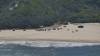 175 - 20171026 Fraser Island Beach