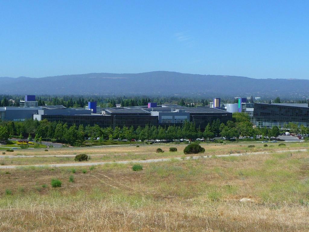 109 - Google Shoreline