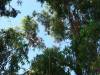 20190802 - Baylands Quadcopter Rescue 103