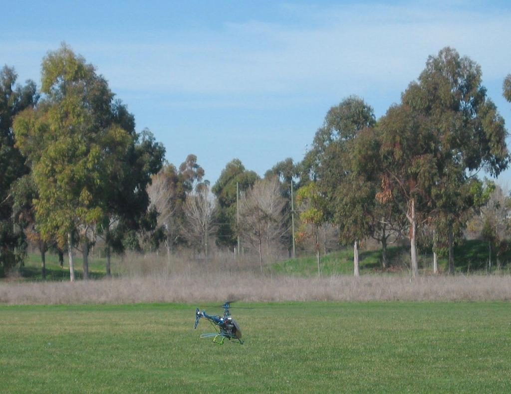 20070216 - Baylands 113