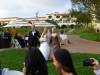 7313 - Aaron Roach Wedding