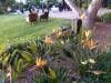 7330 - Aaron Roach Wedding