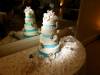 7340 - Aaron Roach Wedding