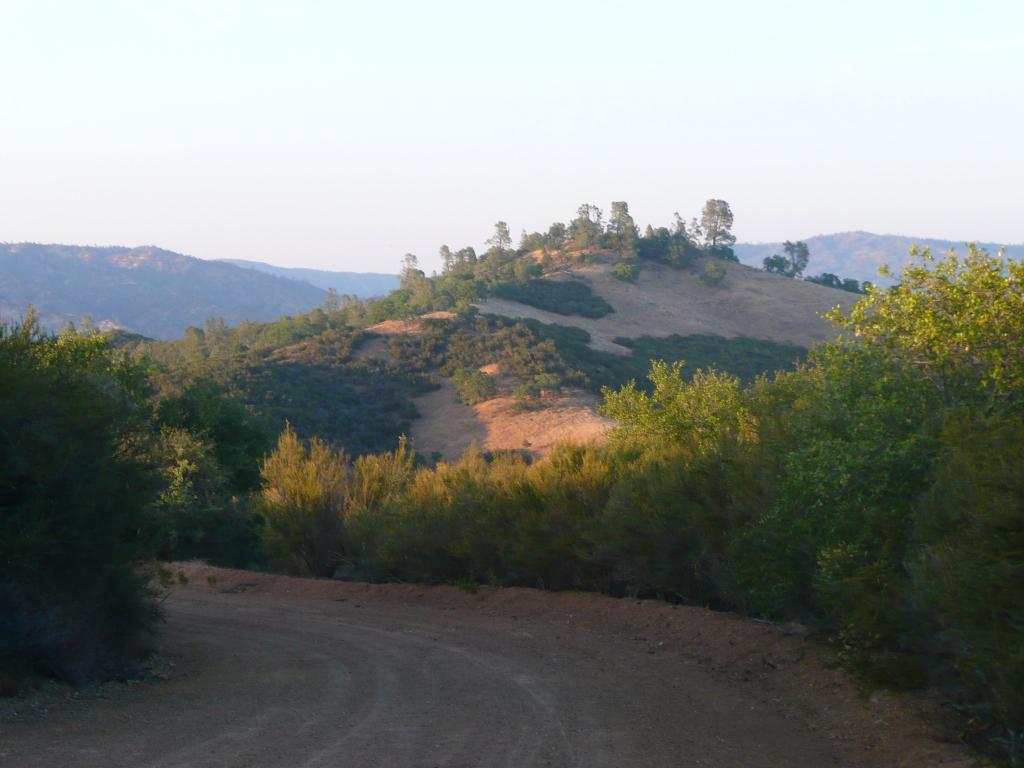 189 - HenryCoe Day1