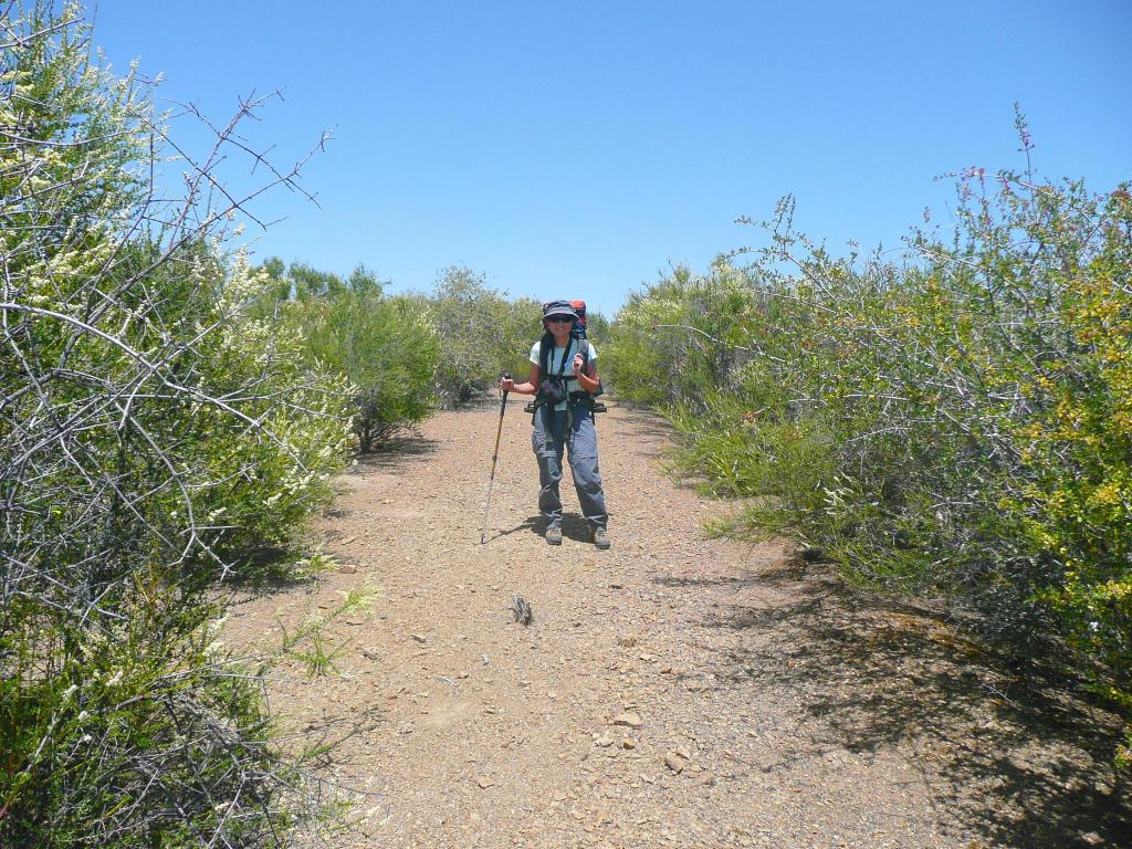 348 - HenryCoe Day2