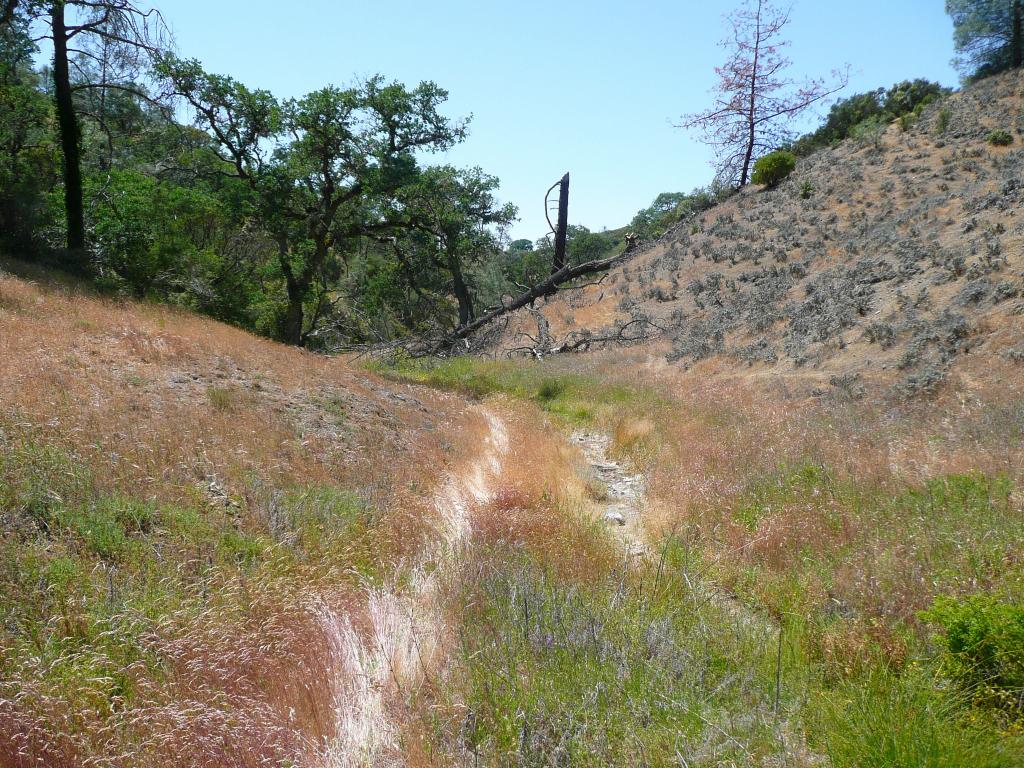 351 - HenryCoe Day2