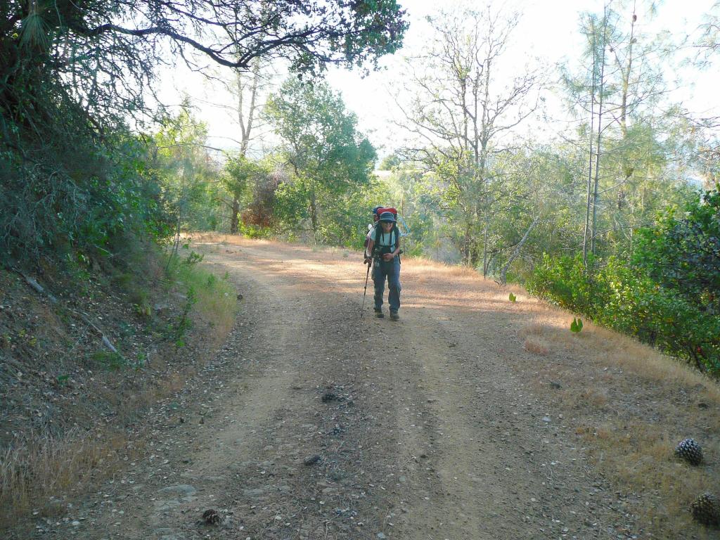 376 - HenryCoe Day2