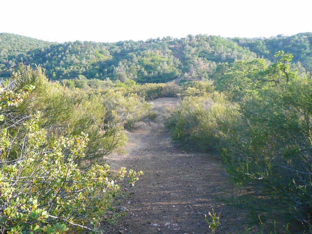 379 - HenryCoe Day2