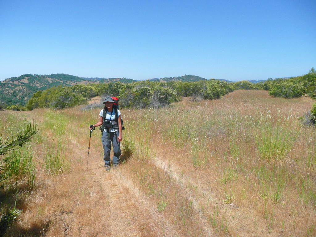 415 - HenryCoe Day3