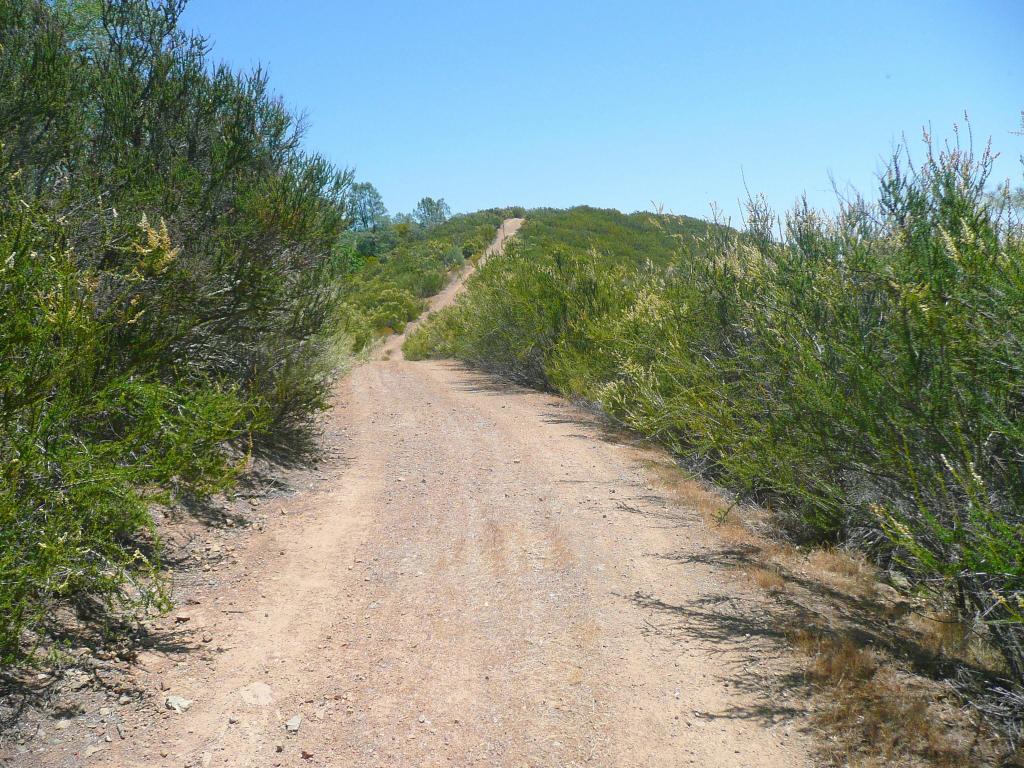 430 - HenryCoe Day3