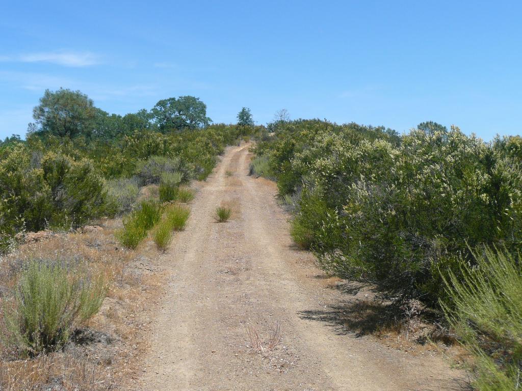 433 - HenryCoe Day3