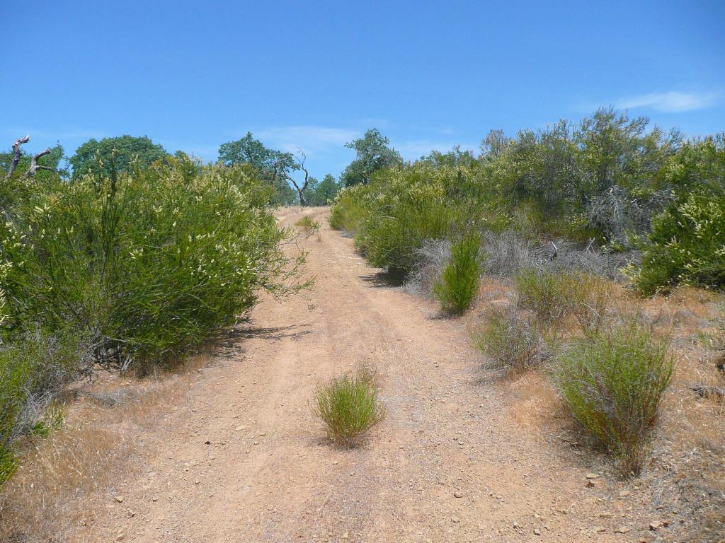 437 - HenryCoe Day3