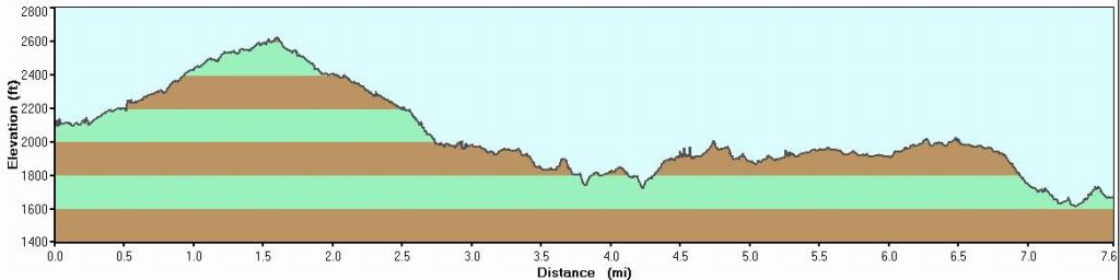 480 - HenryCoe Day3 Elevation