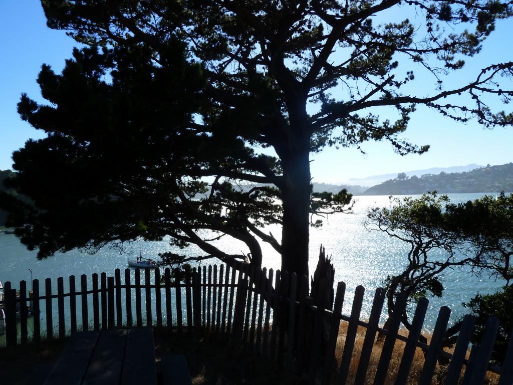 202 - Angel Island