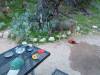3307 - Day1 Bright Angel Phantom Ranch