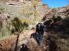 4030 - Day2 Bright Angel Trail to Indian Garden