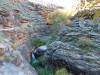 4034 - Day2 Bright Angel Trail to Indian Garden