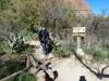 4105 - Day2 Indian Garden to South Rim