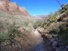 4107 - Day2 Indian Garden to South Rim