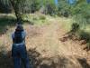 308 - Pine Mountain Lake