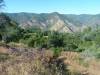 311 - Pine Mountain Lake