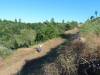 312 - Pine Mountain Lake
