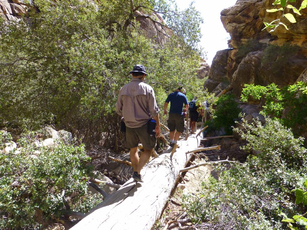 161 - 20130606 Icebox Canyon