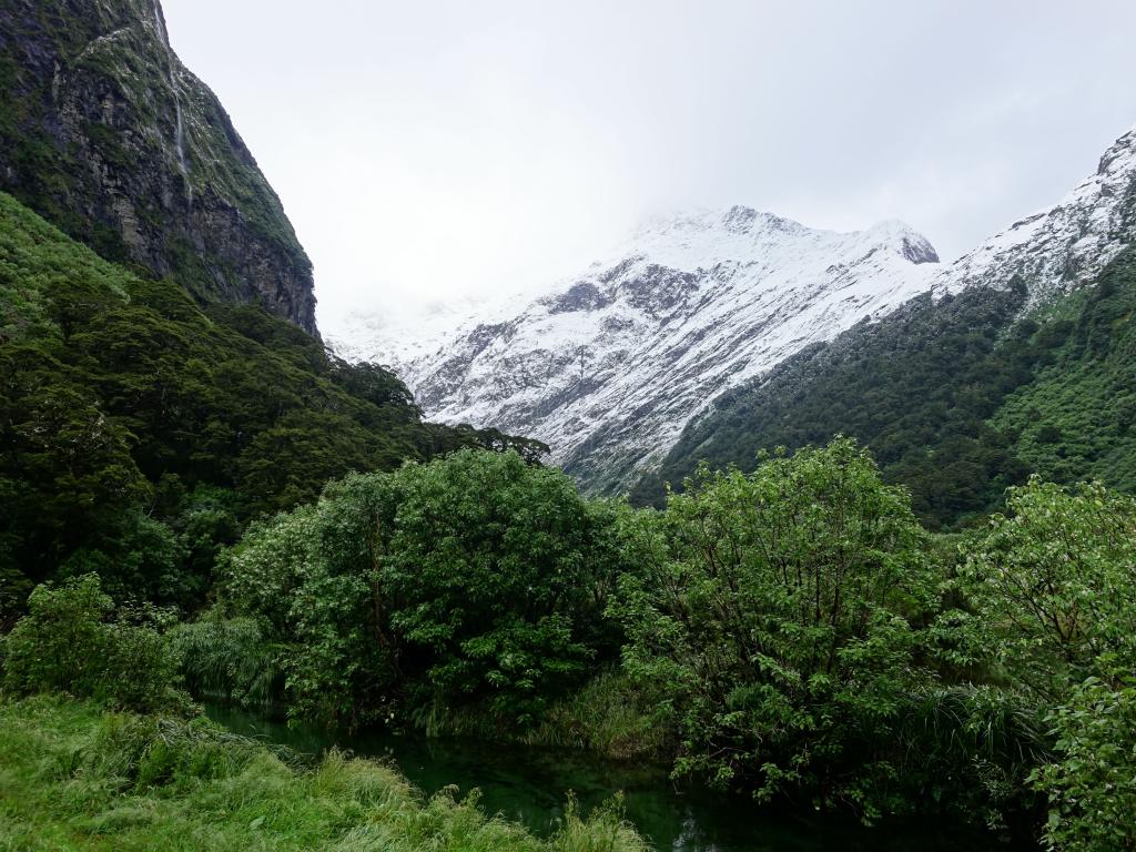 292 - 20150204 Milford Track