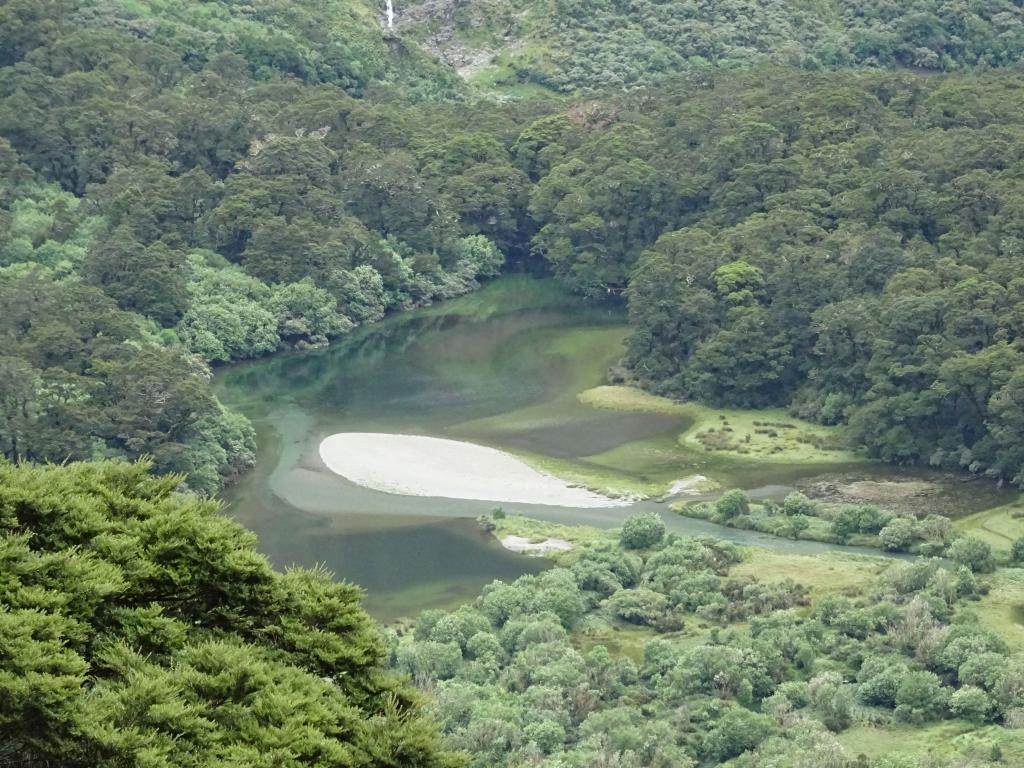 341 - 20150204 Milford Track