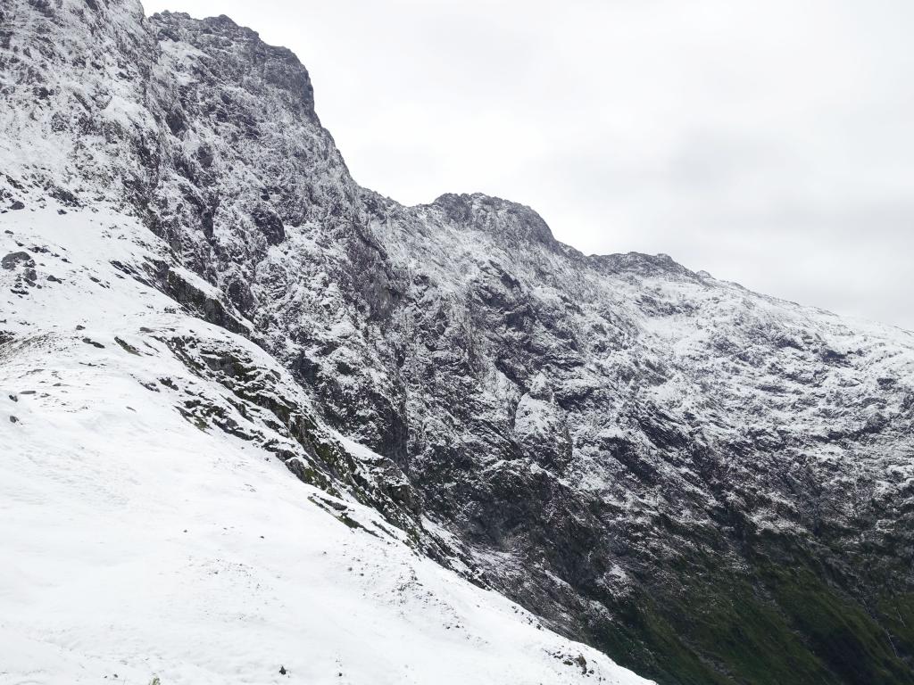 404 - 20150204 Milford Track