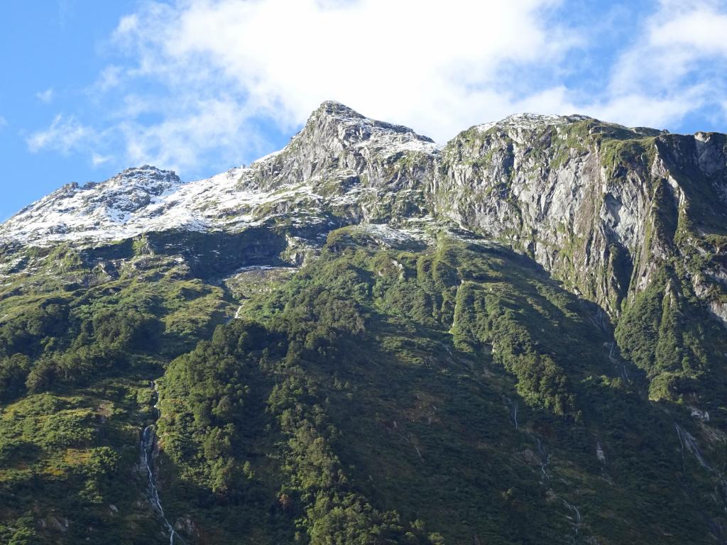 511 - 20150204 Milford Track