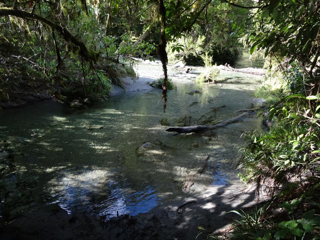 512 - 20150204 Milford Track