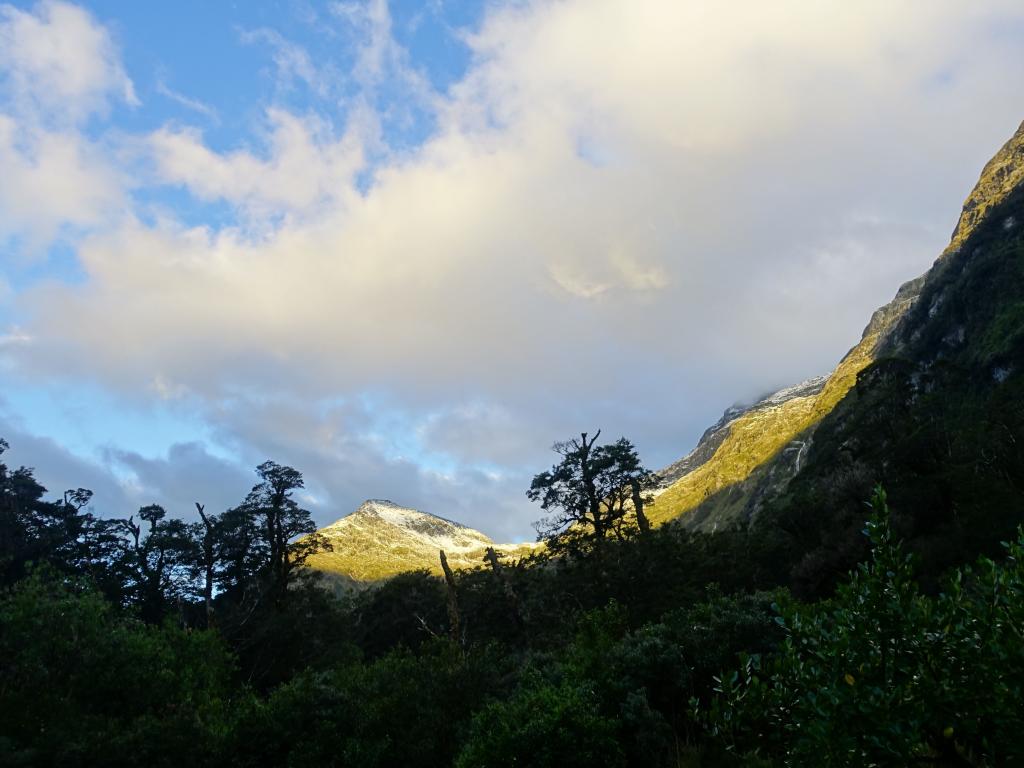 515 - 20150204 Milford Track