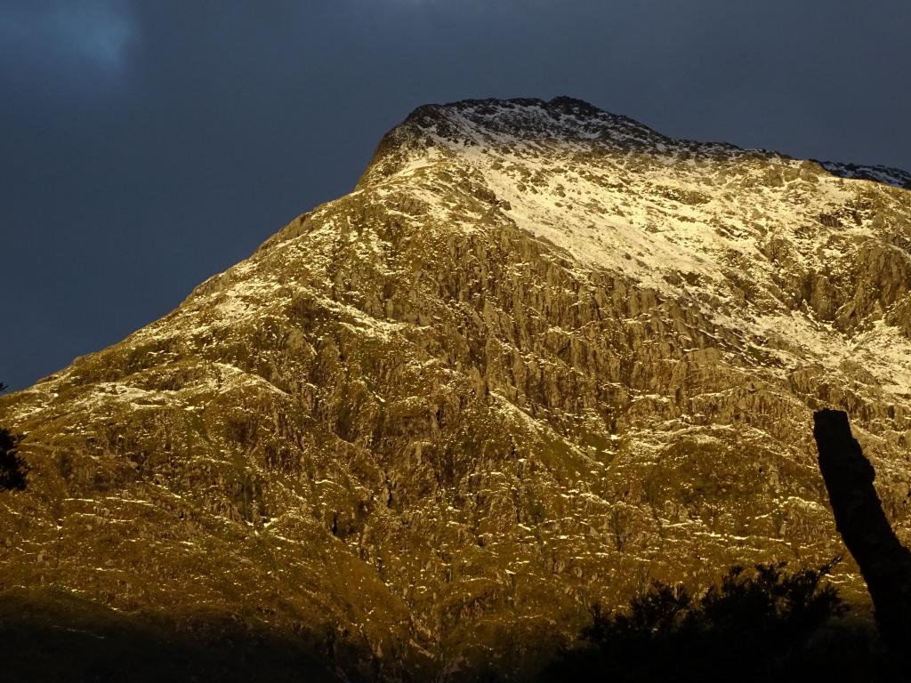 516 - 20150204 Milford Track