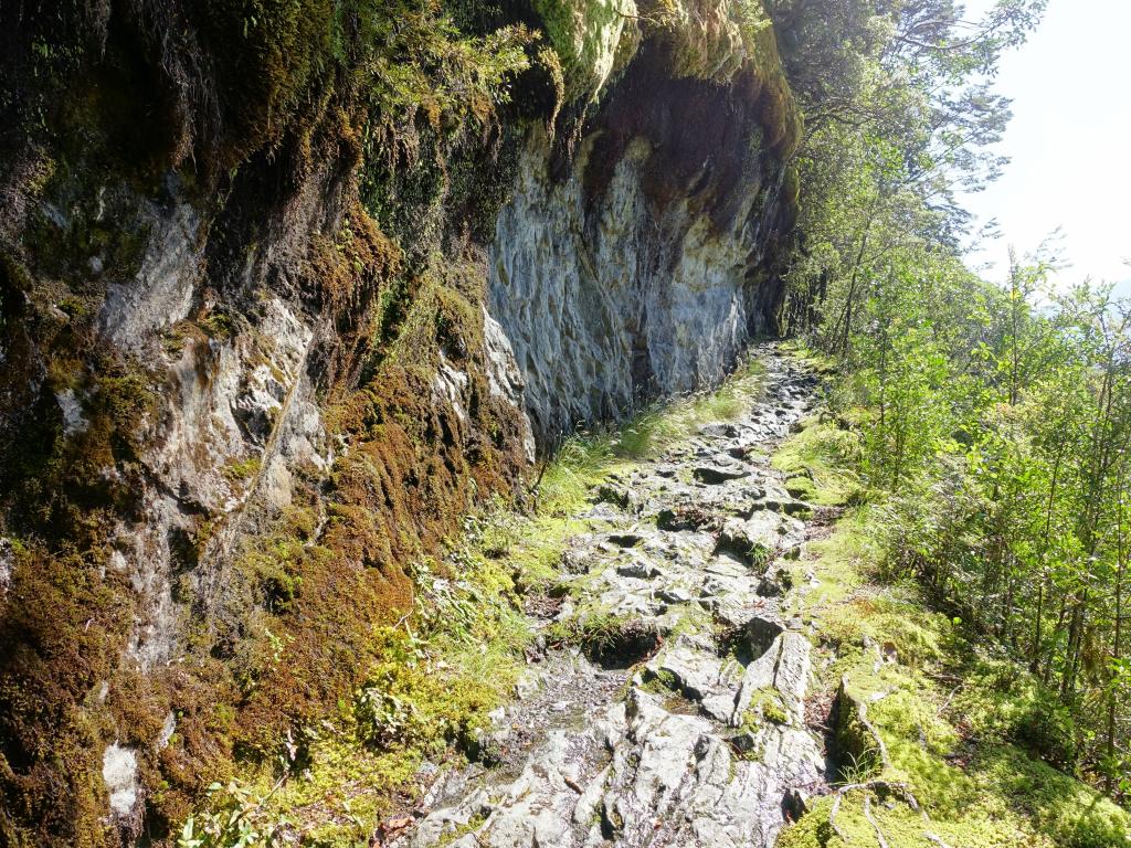 566 - 20150204 Milford Track