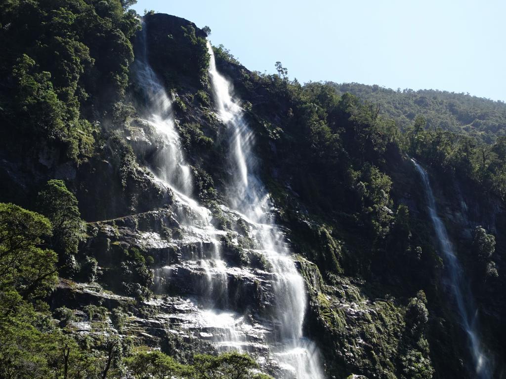 581 - 20150204 Milford Track