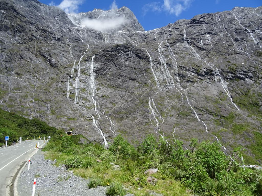 647 - 20150204 Milford Track