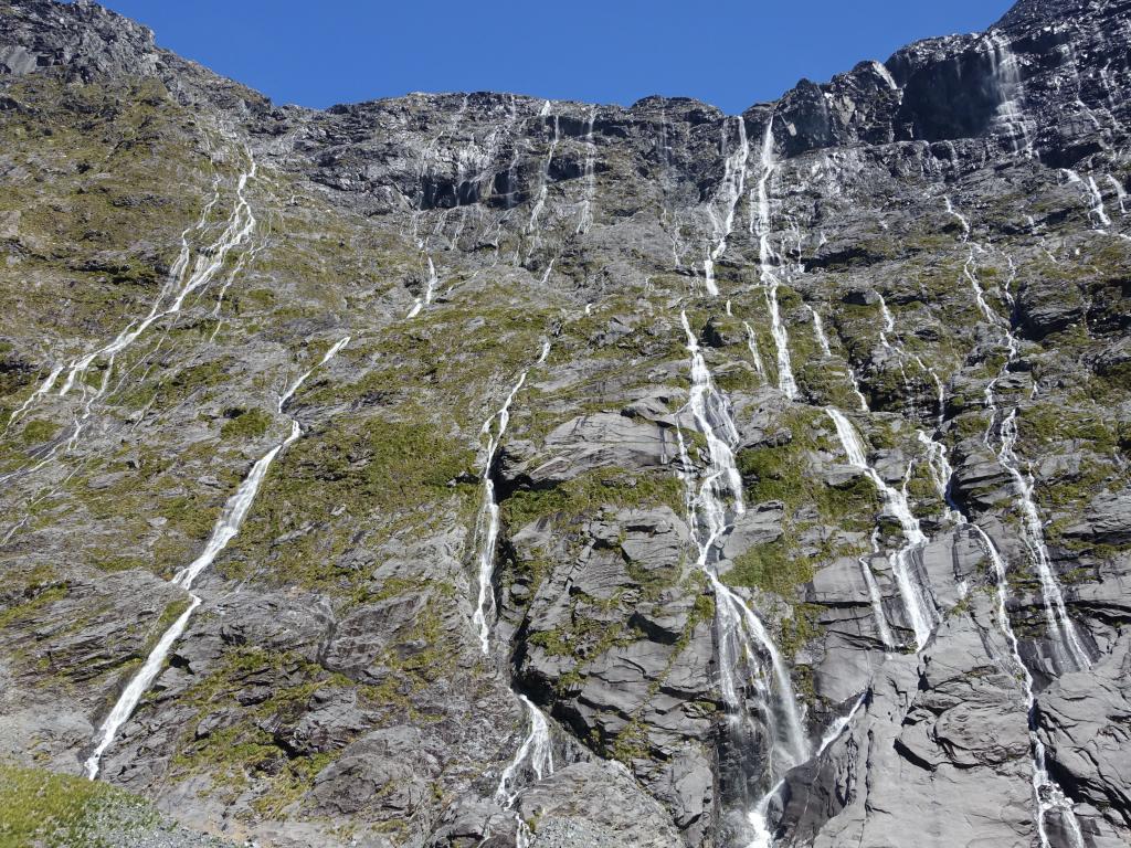 652 - 20150204 Milford Track