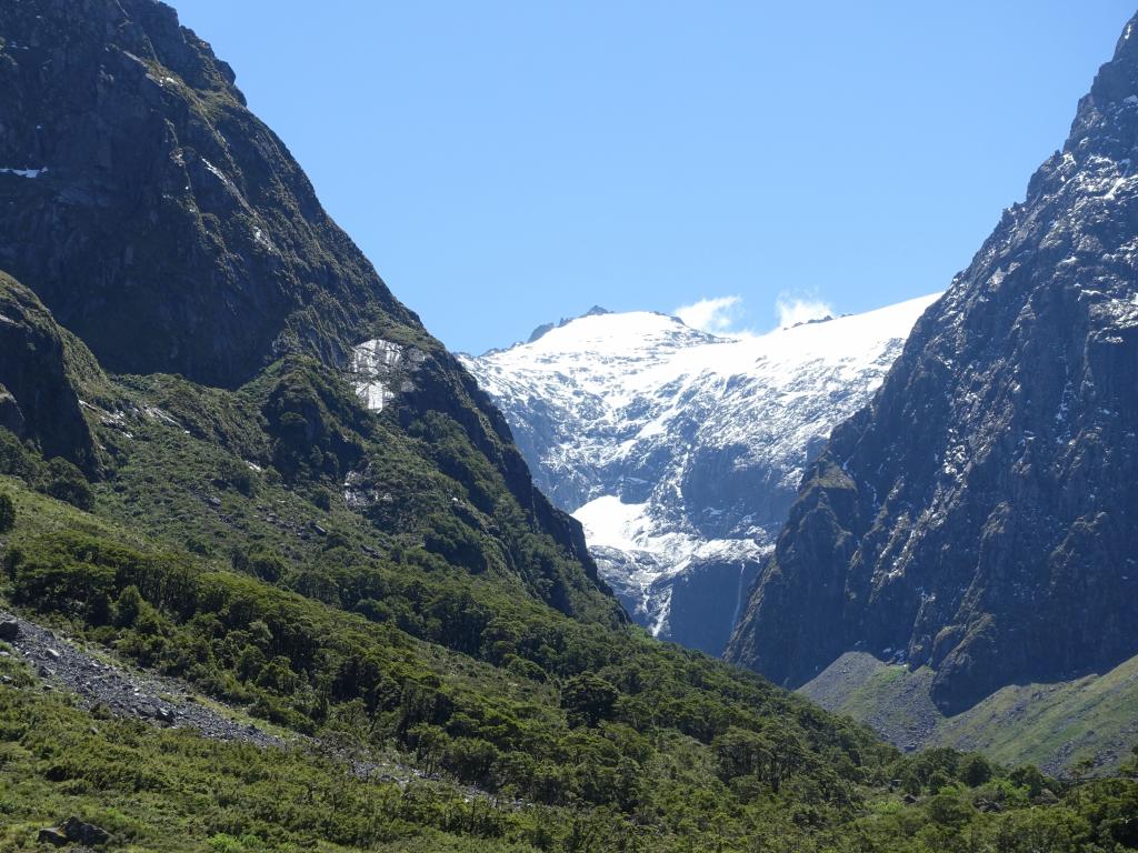 655 - 20150204 Milford Track